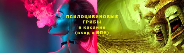 mix Вяземский