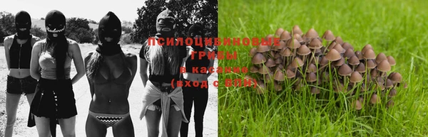 меф Горнозаводск