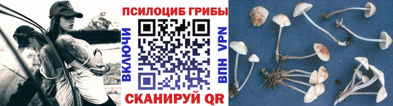 Галлюциногенные грибы MAGIC MUSHROOMS  Данилов 