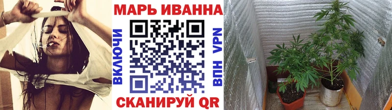 Шишки марихуана Amnesia Данилов